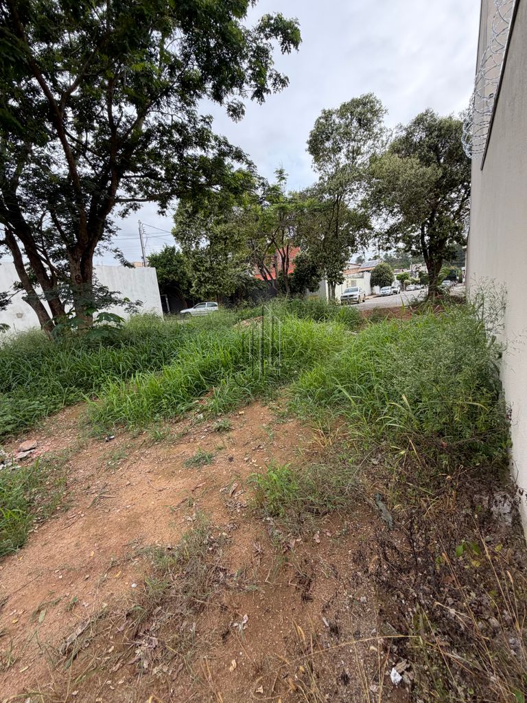 Lote Vila Ipanema, foto 2